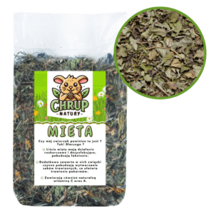 Mięta suszona 50g - Chrup Natury