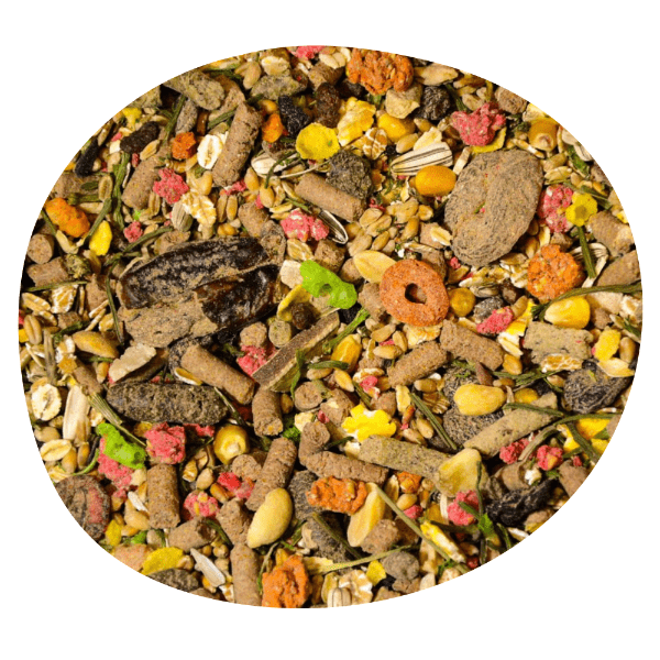 ec33db0c62009175bd4faf23923c8bc0.png